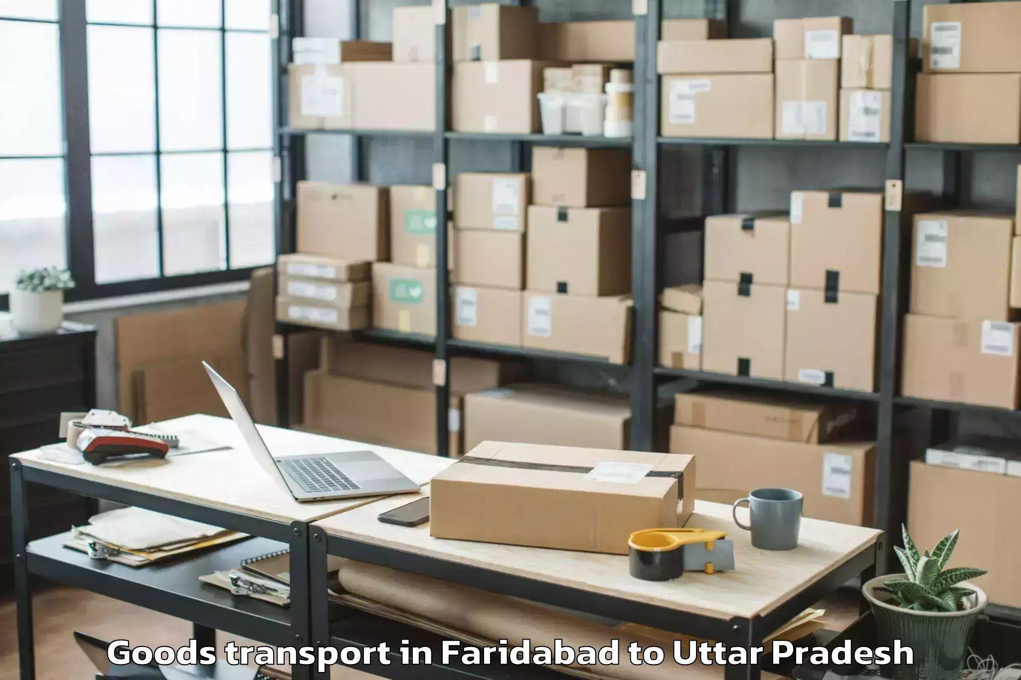 Expert Faridabad to Babina Goods Transport